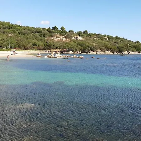 Mare *